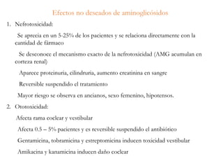Efectos no deseados de aminoglicósidos
1. Nefrotoxicidad:
Se aprecia en un 5-25% de los pacientes y se relaciona directamente con la
cantidad de fármaco
Se desconoce el mecanismo exacto de la nefrotoxicidad (AMG acumulan en
corteza renal)
Aparece proteinuria, cilindruria, aumento creatinina en sangre
Reversible suspendido el tratamiento
Mayor riesgo se observa en ancianos, sexo femenino, hipotensos.
2. Ototoxicidad:
Afecta rama coclear y vestibular
Afecta 0.5 – 5% pacientes y es reversible suspendido el antibiótico
Gentamicina, tobramicina y estreptomicina inducen toxicidad vestibular
Amikacina y kanamicina inducen daño coclear
 