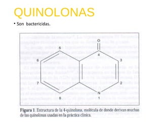 QUINOLONAS
• Son bactericidas.
 