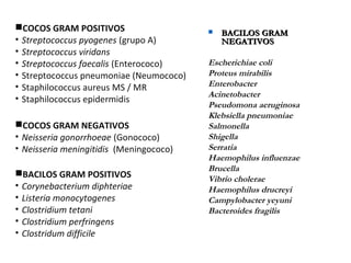 COCOS GRAM POSITIVOS
• Streptococcus pyogenes (grupo A)
• Streptococcus viridans
• Streptococcus faecalis (Enterococo)
• Streptococcus pneumoniae (Neumococo)
• Staphilococcus aureus MS / MR
• Staphilococcus epidermidis
COCOS GRAM NEGATIVOS
• Neisseria gonorrhoeae (Gonococo)
• Neisseria meningitidis (Meningococo)
BACILOS GRAM POSITIVOS
• Corynebacterium diphteriae
• Listeria monocytogenes
• Clostridium tetani
• Clostridium perfringens
• Clostridum difficile
 BACILOS GRAMBACILOS GRAM
NEGATIVOSNEGATIVOS
Escherichiae coli
Proteus mirabilis
Enterobacter
Acinetobacter
Pseudomona aeruginosa
Klebsiella pneumoniae
Salmonella
Shigella
Serratia
Haemophilus influenzae
Brucella
Vibrio cholerae
Haemophilus drucreyi
Campylobacter yeyuni
Bacteroides fragilis
 