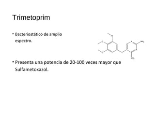 Trimetoprim
• Bacteriostático de amplio
espectro.
• Presenta una potencia de 20-100 veces mayor que
Sulfametoxazol.
 