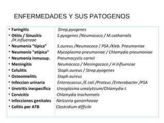 ENFERMEDADES Y SUS PATOGENOS
• Faringitis Strep.pyogenes
• Otitis / Sinusitis S.pyogenes /Neumococo / M.catharralis
/H.influenzae
• Neumonía “típica” S.aureus /Neumococo / PSA /Kleb. Pneumoniae
• Neumonía “atípica” Mycoplasma pneumoniae / Chlamydia pneumoniae
• Neumonía inmusup. Pneumocystis carinii
• Meningitis Neumococo / Meningococo / H.Influenzae
• Celulitis Staph.aureus / Strep.pyogenes
• Osteomielitis Staph.aureus
• Infeccion urinaria Enterococcus /E.coli /Proteus /Enterobacter /PSA
• Uretritis inespecífica Ureoplasma urealyticum/Chlamydia t.
• Cervicitis Chlamydia trachomatis
• Infecciones genitales Neisseria gonorrhoeae
• Colitis por ATB Clostridium difficile
 