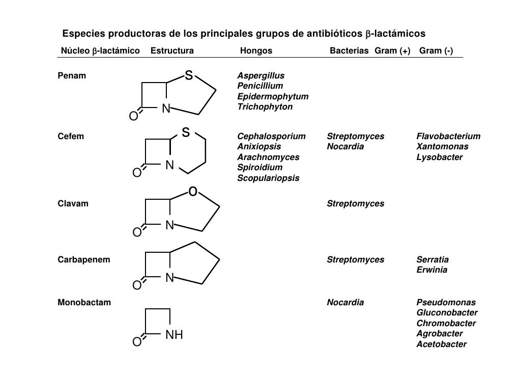 Prednisolon 50 mg kaufen
