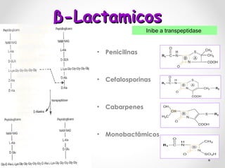 β -Lactamicos  Penicilinas  Cefalosporinas  Cabarpenes  Monobactâmicos Inibe a transpeptidase  