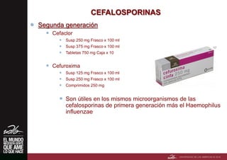 CEFALOSPORINAS
 Segunda generación
 Cefaclor
 Susp 250 mg Frasco x 100 ml
 Susp 375 mg Frasco x 100 ml
 Tabletas 750 mg Caja x 10
 Cefuroxima
 Susp 125 mg Frasco x 100 ml
 Susp 250 mg Frasco x 100 ml
 Comprimidos 250 mg
 Son útiles en los mismos microorganismos de las
cefalosporinas de primera generación más el Haemophilus
influenzae
Haemophilus influenzae
 