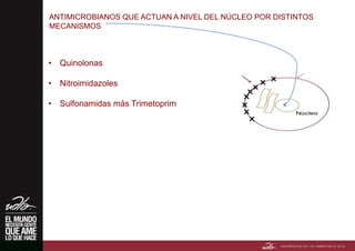 ANTIMICROBIANOS QUE ACTUAN A NIVEL DEL NÚCLEO POR DISTINTOS
MECANISMOS
• Quinolonas
• Nitroimidazoles
• Sulfonamidas más Trimetoprim
 