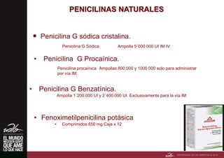 PENICILINAS NATURALES
 Penicilina G sódica cristalina.
Penicilina G Sódica Ampolla 5´000.000 UI IM IV
• Penicilina G Procaínica.
Penicilina procaínica Ampollas 800.000 y 1000 000 solo para administrar
por vía IM.
• Penicilina G Benzatínica.
Ampolla 1´200.000 UI y 2´400.000 UI. Exclusivamente para la vía IM
• Fenoximetilpenicilina potásica
• Comprimidos 650 mg Caja x 12
 