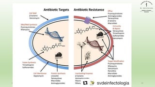 December 29, 2023 14
 