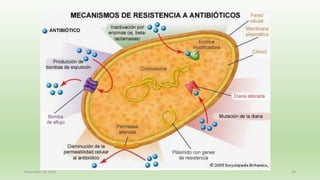 December 29, 2023 18
 