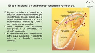 December 29, 2023 19
El uso irracional de antibióticos conduce a resistencia.
❑ Algunas bacterias son insensibles al
efecto de determinados antibióticos, por
inexistencia de sitios de accion o por la
imposibilidad del antibiótico a acceder a
ellos(resistencia natural) Ej. Gram –
son resistente a Vancomicina.
❑ Otras especies son inicialmente
susceptibles a un antibiótico, esta
situación es variable.
❑ El antibacteriano actúa seleccionando
entre cepa susceptible y resistente,
esto es la llamada resistencia
adquirida.
 