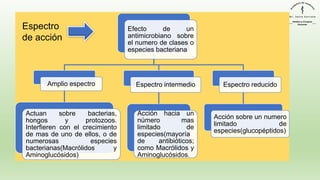 Efecto de un
antimicrobiano sobre
el numero de clases o
especies bacteriana
Amplio espectro
Actuan sobre bacterias,
hongos y protozoos.
Interfieren con el crecimiento
de mas de uno de ellos, o de
numerosas especies
bacterianas(Macrólidos y
Aminoglucósidos)
Espectro intermedio
Acción hacia un
número mas
limitado de
especies(mayoría
de antibióticos;
como Macrólidos y
Aminoglucósidos.
Espectro reducido
Acción sobre un numero
limitado de
especies(glucopéptidos)
Espectro
de acción
 
