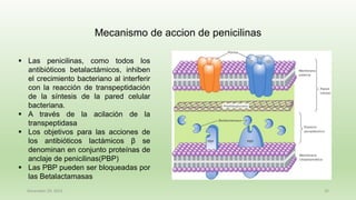 December 29, 2023 25
▪ Las penicilinas, como todos los
antibióticos betalactámicos, inhiben
el crecimiento bacteriano al interferir
con la reacción de transpeptidación
de la síntesis de la pared celular
bacteriana.
▪ A través de la acilación de la
transpeptidasa
▪ Los objetivos para las acciones de
los antibióticos lactámicos β se
denominan en conjunto proteínas de
anclaje de penicilinas(PBP)
▪ Las PBP pueden ser bloqueadas por
las Betalactamasas
Mecanismo de accion de penicilinas
 
