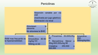 Absorción variable por vía
oral
(inactivada por jugo gástrico)
Eliminación vía renal
RAM mas frecuente es
la hipersensibilidad.
Dosis:
Amoxicilina: 80-90
mg/kg VO
500mg vo tid
P. Procaínica. 50,000U/Kg
IM
P. Benzatínica: Menor a
30kg:600,000u/kg IM
Cristalina: 250,000 a
300,000
Ampicilina:
250-
300mg/kg/día
Atraviesan la
placenta
No atraviesa la BHE
Penicilinas
 