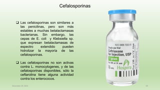 December 29, 2023 29
s
Cefalosporinas
❑ Las cefalosporinas son similares a
las penicilinas, pero son más
estables a muchas betalactamasas
bacterianas. Sin embargo, las
cepas de E. coli y Klebsiella sp.
que expresan betalactamasas de
espectro extendido pueden
hidrolizar la mayoría de las
cefalosporinas.
❑ Las cefalosporinas no son activas
contra L. monocytogenes, y de las
cefalosporinas disponibles, sólo la
ceftarolina tiene alguna actividad
contra los enterococos.
 