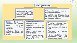 Aminoglucósidos
Resistencia de Gram+
por inactivación del
fármaco por enzimas
bacterianas
Genta, tobra y
Amikacina se indican
contra bacterias
aerobias Gram
negativas
Amikacina tiene un
espectro de acción mas
amplio
Estreptomicina se indica
en tuberculosis
Neomicina por su
toxicidad se emplea vía
tópica.
RAM: Ototoxicidad y
nefrotoxicidad
Bloqueo neuromuscular
por liberación de
acetilcolina
Utilizan transporte activo, en
condiciones aerobias
Su actividad es pH-dependiente,
de manera que ésta disminuye
en zonas de pH ácido.
Presenta sinergia con
inhibidores de la pared.
Atraviesa con dificultad la
BHE
Atraviesa la barrera
placentaria.
No se metabolizan y su
eliminación es por
filtración glomerular
December 29, 2023 40
 