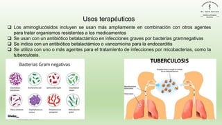 December 29, 2023 41
❑ Los aminoglucósidos incluyen se usan más ampliamente en combinación con otros agentes
para tratar organismos resistentes a los medicamentos
❑ Se usan con un antibiótico betalactámico en infecciones graves por bacterias gramnegativas
❑ Se indica con un antibiótico betalactámico o vancomicina para la endocarditis
❑ Se utiliza con uno o más agentes para el tratamiento de infecciones por micobacterias, como la
tuberculosis.
Usos terapéuticos
 