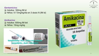 December 29, 2023 43
Gentamicina:
❑ Adultos: 160mg IM id
❑ Niños: 5-7.5mg/kg/día en 3 dosis IV.(IM id)
Amikacina:
❑ Adultos: 500mg IM bid
❑ Niños: 15mg mg/kg
 