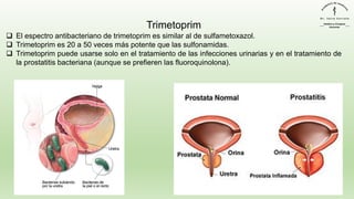 Trimetoprim
❑ El espectro antibacteriano de trimetoprim es similar al de sulfametoxazol.
❑ Trimetoprim es 20 a 50 veces más potente que las sulfonamidas.
❑ Trimetoprim puede usarse solo en el tratamiento de las infecciones urinarias y en el tratamiento de
la prostatitis bacteriana (aunque se prefieren las fluoroquinolona).
 