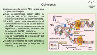❑ Actúan sobre la enzima ADN -girasa, una
topoisomerasa tipo II.
❑ Las topoisomerasas actúan sobre la
topología del ADN, controlando su
superenrollamiento y su desenrollamiento.
❑ La ADN girasa evita concretamente el
enrollamiento excesivo de las dos bandas
de ADN cuando se separan antes de su
replicación o transcripción, inhibiendo así
la replicación del ADN bacteriano.
❑ Además, inhiben la Topoisomerasa IV la
cual es responsable de la separación del
ADN recién replicado.
❑ Las fluoroquinolonas de cuarta generación
pueden ocasionar una prolongación del
intervalo QT y arritmias
Quinolonas
 