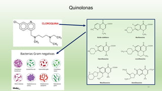 65
Quinolonas
 