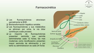 Farmacocinética
❑ Las fluoroquinolonas atraviesan
parcialmente la BHE.
❑ Biotransformación hepática variable.
❑ Las fluoroquinolonas y sus metabolitos
se eliminan por orina, la vía biliar
contribuye a este proceso.
❑ La mayoría de fluoroquinolonas
presentan semivida que permite
administrarlas cada 12 horas; las mas
modernas como levofloxacino presentan
mayor semivida de eliminación y por
tanto su administracion es cada 24 horas
 