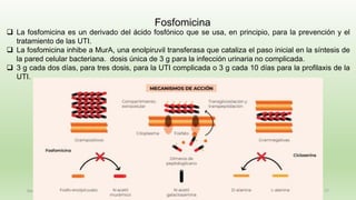 December 29, 2023 77
Fosfomicina
❑ La fosfomicina es un derivado del ácido fosfónico que se usa, en principio, para la prevención y el
tratamiento de las UTI.
❑ La fosfomicina inhibe a MurA, una enolpiruvil transferasa que cataliza el paso inicial en la síntesis de
la pared celular bacteriana. dosis única de 3 g para la infección urinaria no complicada.
❑ 3 g cada dos días, para tres dosis, para la UTI complicada o 3 g cada 10 días para la profilaxis de la
UTI.
 