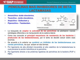PENICILINAS MAS INHIBIDORES DE BETA
LACTAMASAS
• Amoxicilina- ácido clavulanico,
• Ticarcilina - ácido clavulánico,
• Ampicilina - Sulbactam y
• Piperacilina – Tazobactam.
• La búsqueda de ampliar la actividad de las penicilinas se plantearon nuevas
estrategias diferentes a la manipulación de la cadena lateral.
• Como era conocido el principal mecanismo de resistencia de las bacterias (
producción de las betalactamasas), por lo tanto se decidió actuar sobre esas
enzimas.
• De acuerdo a lo anterior se combinó un inhibidor de las betalactamasas con
ciertas penicilinas, los que actúan en dos formas:
1. Por ligamiento de alta afinidad irreversible al sitio catalítico de la betalactamasa la
cual previene la acción hidrolítica en la penicilina .
2. Por ligamiento directo a las proteínas ligadoras de penicilinas de la bacteria (PUP o
PBP).
 