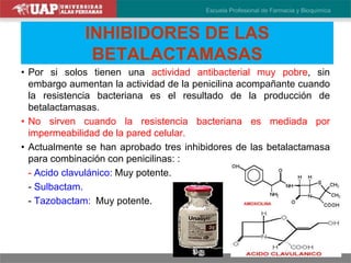 INHIBIDORES DE LAS
BETALACTAMASAS
• Por si solos tienen una actividad antibacterial muy pobre, sin
embargo aumentan la actividad de la penicilina acompañante cuando
la resistencia bacteriana es el resultado de la producción de
betalactamasas.
• No sirven cuando la resistencia bacteriana es mediada por
impermeabilidad de la pared celular.
• Actualmente se han aprobado tres inhibidores de las betalactamasa
para combinación con penicilinas: :
- Acido clavulánico: Muy potente.
- Sulbactam.
- Tazobactam: Muy potente.
 