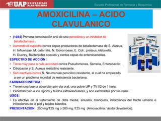 AMOXICILINA – ACIDO
CLAVULANICO
• (1984) Primera combinación oral de una penicilina y un inhibidor de
betalactamasa .
• Aumentó el espectro contra cepas productoras de betalactamasa de S. Aureus,
H. Influenzae, M. catarralis, N. Gonorroeae, E. Coli , proteus, klebsiella,
H. Ducrey, Bacteroides species y ciertas cepas de enterobacterias.
ESPECTRO DE ACCION :
• Tiene muy poca o nula actividad contra Pseudomonas, Serratia, Enterobacter,
• Citrobacter y S. Aureus meticilino resistente.
• Son inactivos contra S. Neumoniae penicilino resistente, el cual ha empezado
a ser un problema mundial de resistencia bacteriana.
FARMACOCINETICA :
• Tienen una buena absorción por vía oral, una pobre UP y TV1/2 de 1 hora.
• Penetran bien a los tejidos y fluidos extravasculares, y son excretadas por vía renal.
USOS:
• Es efectivo en el tratamiento de otitis media, sinusitis, bronquitis, infecciones del tracto urinario e
infecciones de la piel y tejidos blandos.
PRESENTACION: 250 mg/125 mg o 500 mg /125 mg (Amoxacilina / ácido clavulanico).
 