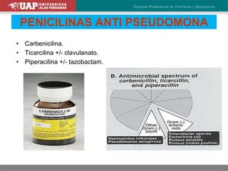 PENICILINAS ANTI PSEUDOMONA
• Carbenicilina.
• Ticarcilina +/- clavulanato.
• Piperacilina +/- tazobactam.
 