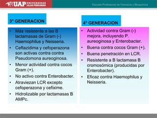 3° GENERACION
• Más resistente a las B
lactamasas de Gram (-)
Haemophilus y Neisseria.
• Ceftazidima y cefoperazona
son activas contra contra
Pseudomona aureoginosa.
• Menor actividad contra cocos
Gram (+).
• No activo contra Enterobacter.
• Atraviezan LCR excepto
cefoperazona y cefixime.
• Hidrolizable por lactamasas B
AMPc.
4° GENERACION
• Actividad contra Gram (-)
mejora, incluyendo P.
aureoginosa y Enterobacter.
• Buena contra cocos Gram (+).
• Buena penetración en LCR.
• Resistente a B lactamasa B
cromosómica (producidas por
Enterobacter).
• Eficaz contra Haemophilus y
Neisseria.
 