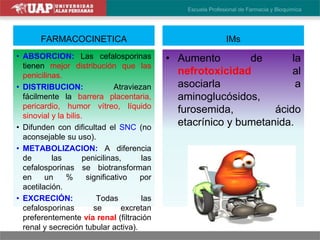 FARMACOCINETICA
• ABSORCION: Las cefalosporinas
tienen mejor distribución que las
penicilinas.
• DISTRIBUCION: Atraviezan
fácilmente la barrera placentaria,
pericardio, humor vítreo, líquido
sinovial y la bilis.
• Difunden con dificultad el SNC (no
aconsejable su uso).
• METABOLIZACION: A diferencia
de las penicilinas, las
cefalosporinas se biotransforman
en un % significativo por
acetilación.
• EXCRECIÓN: Todas las
cefalosporinas se excretan
preferentemente vía renal (filtración
renal y secreción tubular activa).
IMs
• Aumento de la
nefrotoxicidad al
asociarla a
aminoglucósidos,
furosemida, ácido
etacrínico y bumetanida.
 