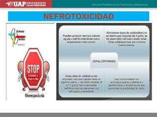 NEFROTOXICIDAD
 