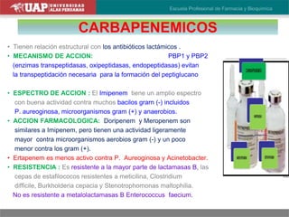 CARBAPENEMICOS
• Tienen relación estructural con los antibióticos lactámicos .
• MECANISMO DE ACCION: Se une firmemente a las PBP1 y PBP2
(enzimas transpeptidasas, oxipeptidasas, endopeptidasas) evitan
la transpeptidación necesaria para la formación del peptiglucano
indispensable para la síntesis de la pared bacteriana.
• ESPECTRO DE ACCION : El Imipenem tiene un amplio espectro
con buena actividad contra muchos bacilos grarn (-) incluidos
P. aureoginosa, microorganismos gram (+) y anaerobios.
• ACCION FARMACOLOGICA: Doripenem y Meropenem son
similares a Imipenem, pero tienen una actividad ligeramente
mayor contra microorganismos aerobios gram (-) y un poco
menor contra los gram (+).
• Ertapenem es menos activo contra P. Aureoginosa y Acinetobacter.
• RESISTENCIA : Es resistente a la mayor parte de lactamasas B, las
cepas de estafilococos resistentes a meticilina, Clostridium
difficile, Burkholderia cepacia y Stenotrophomonas maltophilia.
No es resistente a metalolactamasas B Enterococcus faecium.
 