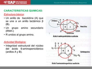 CARACTERISTICAS QUIMICAS:
Estructura básica:
• Un anillo de tiazolidina (A) que
se une a un anillo lactámico β
(B).
• Un grupo amino secundario
(RNH-)
• R unidos al grupo amino.
Actividad Biológica:
• Integridad estructural del núcleo
del ácido 6-aminopenicilánico
(anillos A y B).
Vb
 