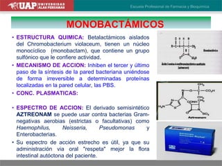 MONOBACTÁMICOS
• ESTRUCTURA QUIMICA: Betalactámicos aislados
del Chromobacterium violaceum, tienen un núcleo
monocíclico (monobactam), que contiene un grupo
sulfónico que le confiere actividad.
• MECANISMO DE ACCION: Inhiben el tercer y último
paso de la síntesis de la pared bacteriana uniéndose
de forma irreversible a determinadas proteínas
localizadas en la pared celular, las PBS.
• CONC. PLASMATICAS: A los 60 min., dosis IM, UP
50-60%.
• ESPECTRO DE ACCION: El derivado semisintético
AZTREONAM se puede usar contra bacterias Gram-
negativas aerobias (estrictas o facultativas) como
Haemophilus, Neisseria, Pseudomonas y
Enterobacterias.
• Su espectro de acción estrecho es útil, ya que su
administración via oral "respeta" mejor la flora
intestinal autóctona del paciente.
 