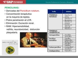 PENICILINAS:
• Derivadas del Penicillium notatum.
• Concentración terapéutica
en la mayoría de tejidos.
• Pobre penetración al LCR.
• Eliminación: Excreción renal.
• RAM: Hipersensibilidad,
nefritis, neurotoxicidad, disfunción
plaquetaria.
 
