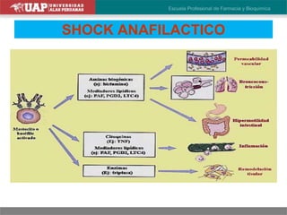 SHOCK ANAFILACTICO
 