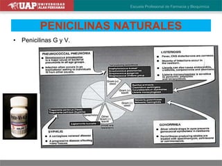 PENICILINAS NATURALES
• Penicilinas G y V.
 