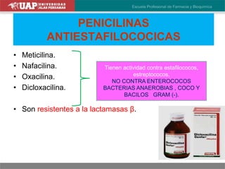 PENICILINAS
ANTIESTAFILOCOCICAS
• Meticilina.
• Nafacilina.
• Oxacilina.
• Dicloxacilina.
• Son resistentes a la lactamasas β.
Tienen actividad contra estafilococos,
estreptococos,
NO CONTRA ENTEROCOCOS
BACTERIAS ANAEROBIAS , COCO Y
BACILOS GRAM (-).
 