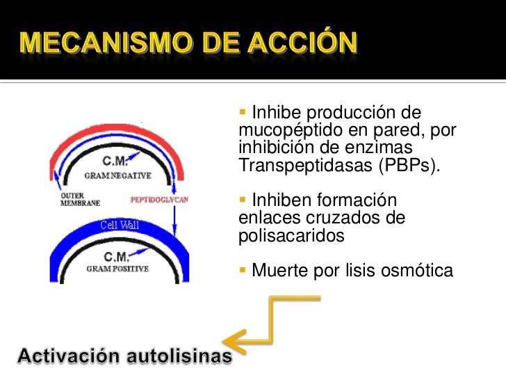 5 Fluorocitosina Mecanismo De Accion