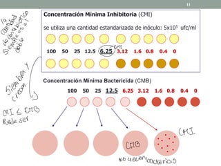 Concentración Mínima Inhibitoria (CMI)
se utiliza una cantidad estandarizada de inóculo: 5x105 ufc/ml
100 50 25 12.5 6.25 3.12 1.6 0.8 0.4 0
Concentración Mínima Bactericida (CMB)
100 50 25 12.5 6.25 3.12 1.6 0.8 0.4 0
11
la
-
año
µ
.io
°
no
*
sii
→
O
sin:*
°
"
CRI E ICMB
Puede ser
COMI
CMB
No crecen bacterias
 