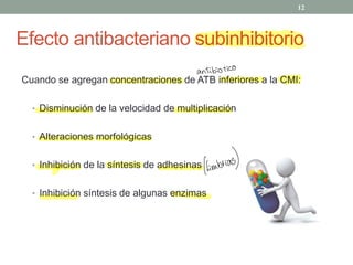 Efecto antibacteriano subinhibitorio
Cuando se agregan concentraciones de ATB inferiores a la CMI:
‡ Disminución de la velocidad de multiplicación
‡ Alteraciones morfológicas
‡ Inhibición de la síntesis de adhesinas
‡ Inhibición síntesis de algunas enzimas
12
antibiótico
fimbrias
)
 