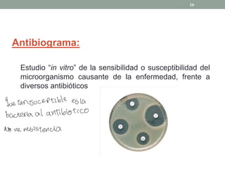 Antibiograma:
Estudio ³in vitro´ de la sensibilidad o susceptibilidad del
microorganismo causante de la enfermedad, frente a
diversos antibióticos
16
fue tansucertible es la
bacteria al antibiótico
No ve resistencia
 