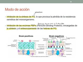 Modo de acción
26
1
Peptidoglicano
/
Proteínas que se unen a la Penicilina
 