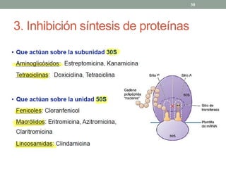 3. Inhibición síntesis de proteínas
30
 