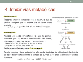 4. Inhibir vías metabólicas
31
compite con el sustrato no le queda en su vía metabólica
-
La bacteria se queda sin su vía metabólica
-
Compiten con su vía metabólica
impide síntesis de Acidos nucleicos
 