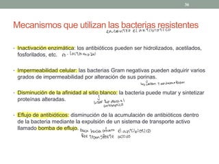Mecanismos que utilizan las bacterias resistentes
‡ Inactivación enzimática: los antibióticos pueden ser hidrolizados, acetilados,
fosforilados, etc.
‡ Impermeabilidad celular: las bacterias Gram negativas pueden adquirir varios
grados de impermeabilidad por alteración de sus porinas.
‡ Disminución de la afinidad al sitio blanco: la bacteria puede mutar y sintetizar
proteínas alteradas.
‡ Eflujo de antibióticos: disminución de la acumulación de antibióticos dentro
de la bacteria mediante la expulsión de un sistema de transporte activo
llamado bomba de eflujo.
36
encontro el antibiótico
po
-
lactamazas
las Éierran y no dejan Pasar
1
lvsvar que ataca el
antibiótico
saca hacia afuera el antibiótico
Por transporte activo
 