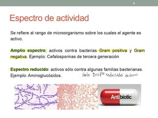 Espectro de actividad
6
Solo Grupo reducido debac
 