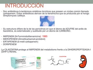 INTRODUCCIÓN
• Son antibióticos b-lactámicos sintéticos bicíclicos que poseen un núcleo común llamado
carbapenem. Estos antibióticos derivan de la tienamicina que es producida por el hongo
Streptomyces cattleya.
• Su estructura difiere de la de las penicilinas en que el átomo de AZUFRE del anillo de
tiazolidina, es externalizado y sustituido por un átomo de CARBONO.
• IMIPENEM (N-Formimidoiltienamicina) 1985
• MEROPENEM (Dimetilcarbamoil-pirolidinil)
• ERTAPENEM (b-metil carbapenem)
• DORIPENEM
La CILASTATINA protege al IMIPENEM del metabolismo frente a la DIHIDROPEPTIDASA-I
(DHP-I) RENAL
 