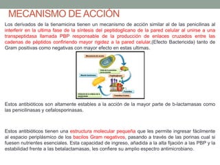 MECANISMO DE ACCIÓN
Los derivados de la tienamicina tienen un mecanismo de acción similar al de las penicilinas al
interferir en la ultima fase de la síntesis del peptidoglicano de la pared celular al unirse a una
transpeptidasa llamada PBP responsable de la producción de enlaces cruzados entre las
cadenas de péptidos confiriendo mayor rigidez a la pared celular,(Efecto Bactericida) tanto de
Gram positivas como negativas con mayor efecto en estas ultimas.
Estos antibióticos son altamente estables a la acción de la mayor parte de b-lactamasas como
las penicilinasas y cefalosporinasas.
Estos antibióticos tienen una estructura molecular pequeña que les permite ingresar fácilmente
al espacio periplásmico de los bacilos Gram negativos, pasando a través de las porinas cual si
fuesen nutrientes esenciales. Esta capacidad de ingreso, añadida a la alta fijación a las PBP y la
estabilidad frente a las betalactamasas, les confiere su amplio espectro antimicrobiano.
 